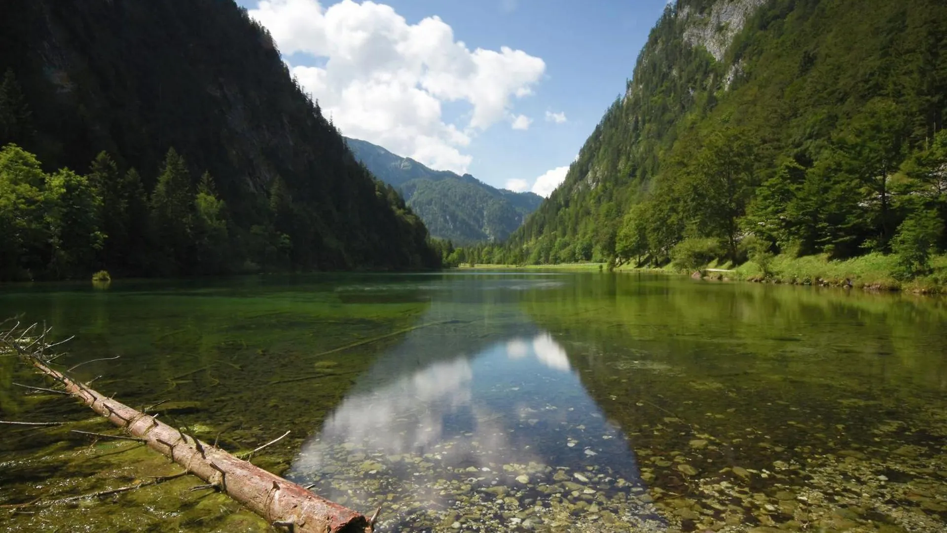 Beautiful Flat In Ruhpolding With Pool Apartment